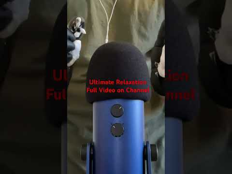 ASMR Tingly Sounds #asmr #asmrsounds #haircutasmr #tingles #tinglyasmr