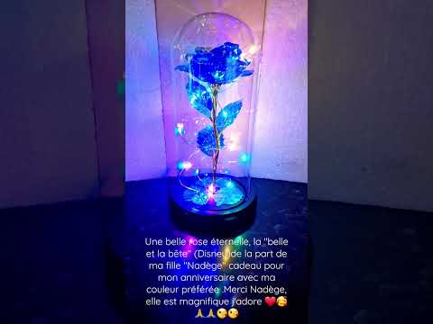 Rose éternelle, cadeau de ma fille "Nadège" pour mon anniversaire, merci ma fille❤️ j'adore ❤️🥰🙏😘