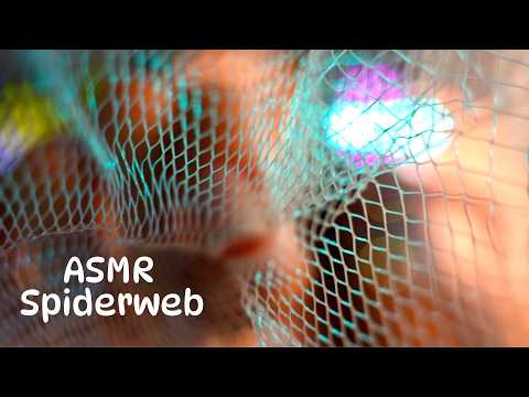 Asmr | Spiderweb Sounds & Whispering 🕸️💋