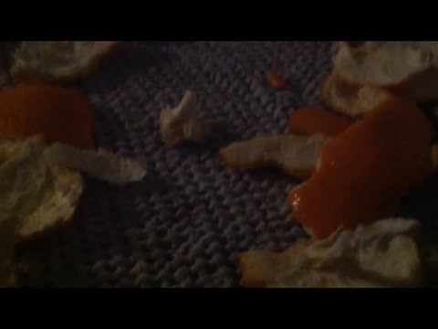 ASMR Français : Dégustation du soir Bonsoir (Orange) + Bruits de Bouche 
