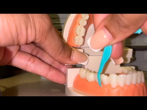 ASMR TEETH CLEANING 🦷 #asmr #teeth