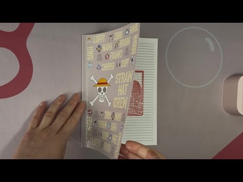 ASMR Flipping Through A One Piece Notebook (No Talking)