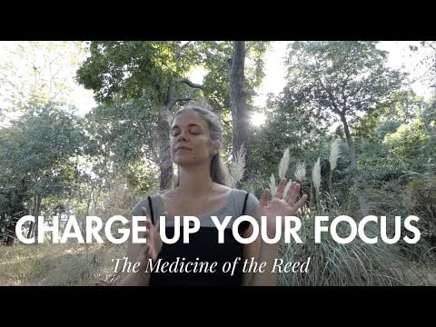 Become Unstoppable with Celtic Reiki Healing