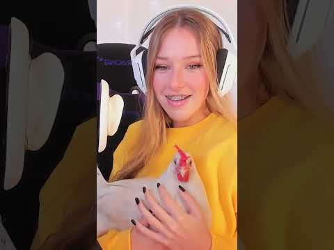 Chicken does ASMR 🐔