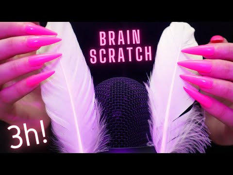 Asmr Intense Mic Scratching,Brushing & Massage | Asmr No Talking for Sleep with Long Nails - 4k