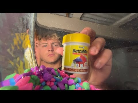 ASMR but your a Fihh🐠
