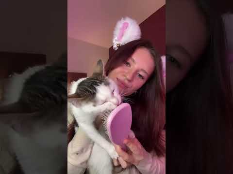 ASMR: Cat 🐱 Sounds 💤 #asmr #asmrsounds #asmrvideo #asmrcommunity #catasmr #catvideos #catshorts