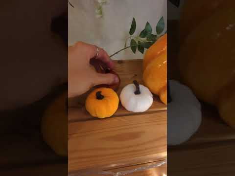 ASMR Pumpkin Tingles #asmr #asmrtapping #asmrscratching #asmrsounds #asmrtingles #asmrtriggers