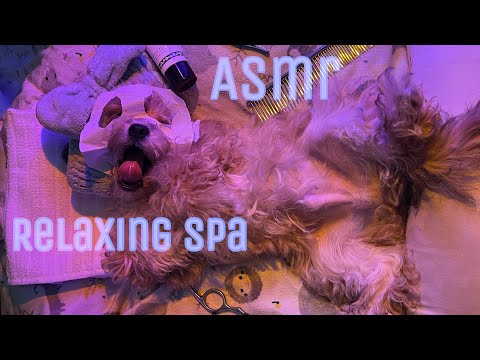 Asmr Relaxing Spa (Brushing, tapping, rain sounds)