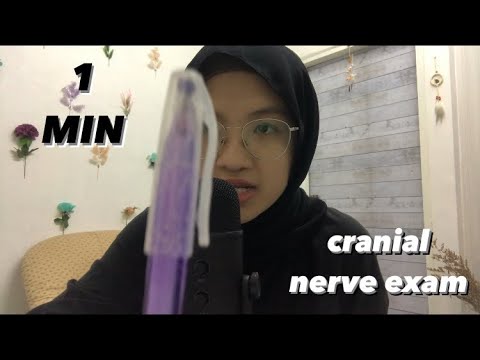 ASMR 1 Minute Cranial Nerve Exam *fast*