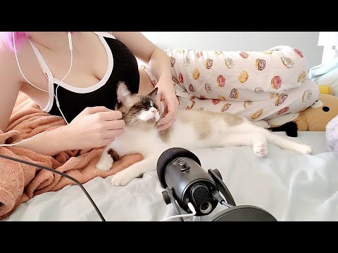 ASMR Cat Cuddles with Johnny Boy! (No Talking, LOTS of Purring)