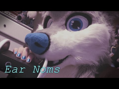 [Furry ASMR] Wet Ear Noms! :3
