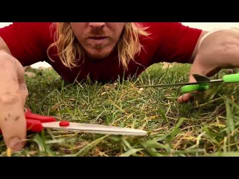 ASMR | How Barbers Cut Grass 💈