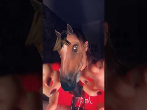 [Türkçe ASMR] POV: Atmur Sana ASMR Yapıyor - At RP