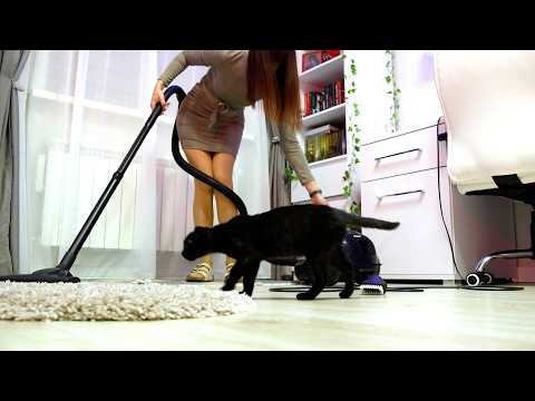 Vacuum Cleaning ASMR | Cozy Room Reset with a Curious Black Kitten 🐾😻