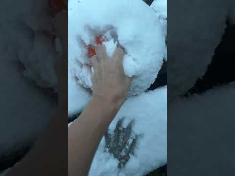 Fresh Snow In The Morning ASMR ❄️