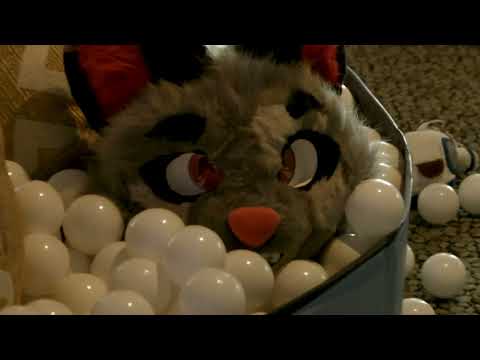 Eurofurence 29 Hamburg