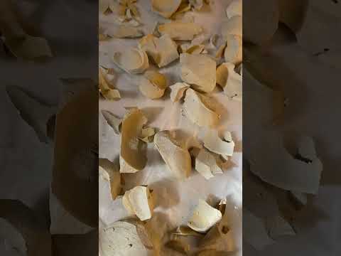 ural chips