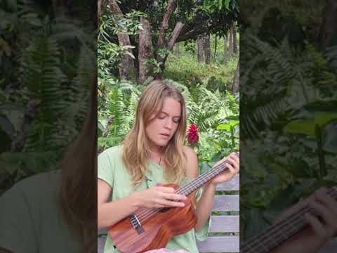 Peaceful Melodies Shared with Love💚