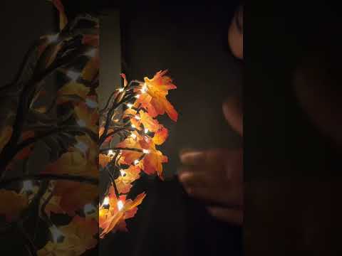 ASMR | PASSANDO OBJETOS NA CÂMERA E MICROFONE 📸🎤