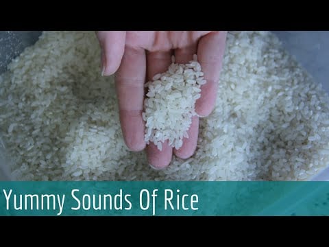 (d●̮•b) Mesmerizing Rice Play For ASMR & Relaxation