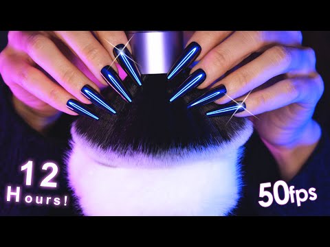 [12 Hours ASMR] ULTIMATE Deep Brain Brushing 😴 99.99% of You Will Fall Asleep 50fps 4k (No Talking)