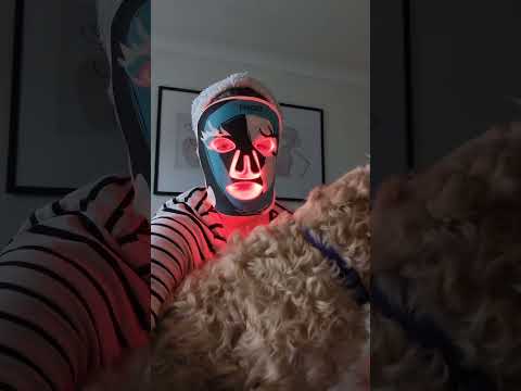 um pouquinho do meu dia