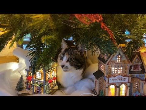 Christmas ASMR 🎄✨| Scratching & Tapping on all the Things in my Christmas Tree 🧸🎁