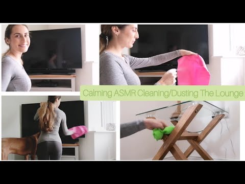 ASMR - Household Cleaning/Dusting The Living Room No Talking