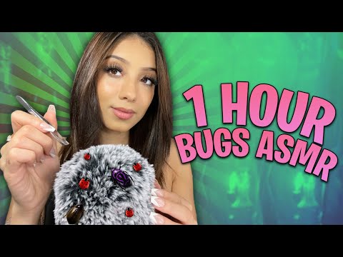 ASMR| 1 HOUR OF BUGS! 🐛🐜