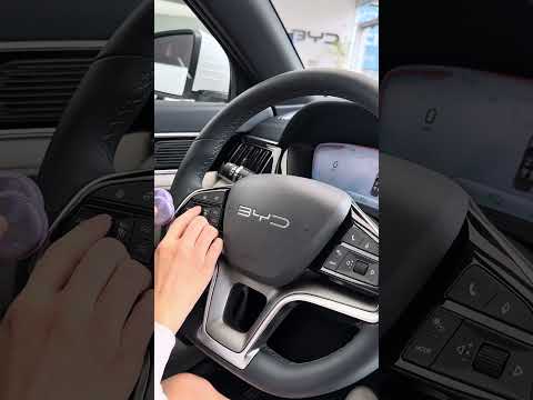 ASMR EM UM BYD SONG PREMIUM 🚗