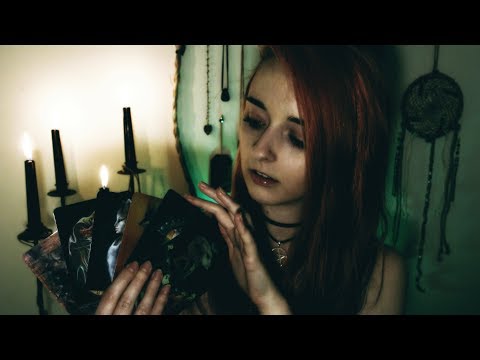 [ASMR] 𝕺𝖗𝖆𝖈𝖑𝖊 𝕽𝖊𝖆𝖉𝖎𝖓𝖌 🌚 Animal Spirits Knowledge Cards