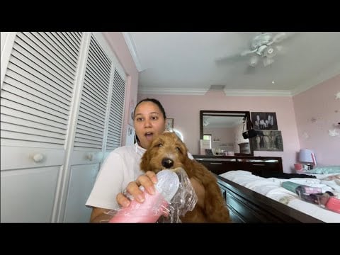 Dog ASMR🐶💦 *soft spoken*