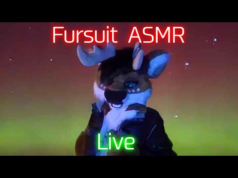 [Furry ASMR] Live ASMR For That Late Night Insomnia