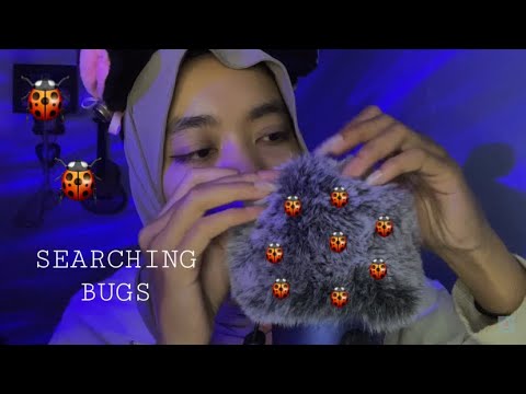 SEARCHING BUGS 🐞 (MouthSound, FluffyMic)