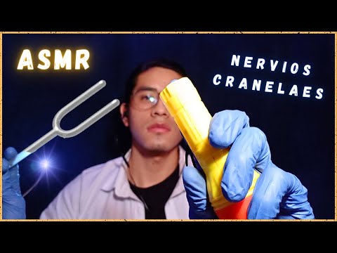 ASMR español examen de NERVIOS CRANEALES - ROLEPLAY español