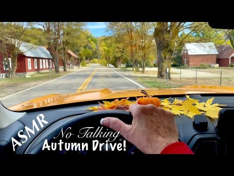 ASMR Autumn Drive! (No talking version only) Mountain Fall Foliage! Going up to Antelope Lake!