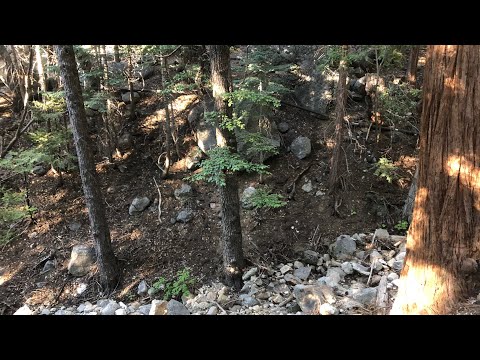 ASMR using things I found in the forest 🌳