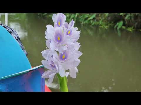 ASMR ✨️ TRAVEL VLOG (Viajecito a Nicaragua y Ecuador)