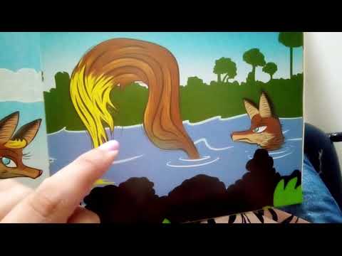 ASMR MUITA VOZ SUAVE E SUSSURROS LENDO HISTORINHA PRA VOCÊ DORMIR |Zila Cor A RAPOSA|