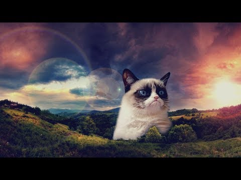 Anecdotes "Savoir Inutile" (Vidéo n°4) - ASMR Français