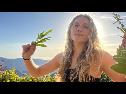 ASMR in the Wilderness