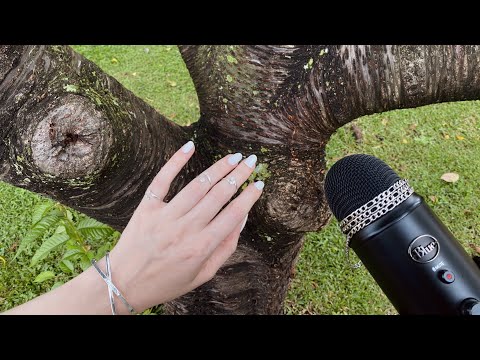 ASMR Tapping & Scratching / asmr em público 🫣 Mostrando meus recebidos