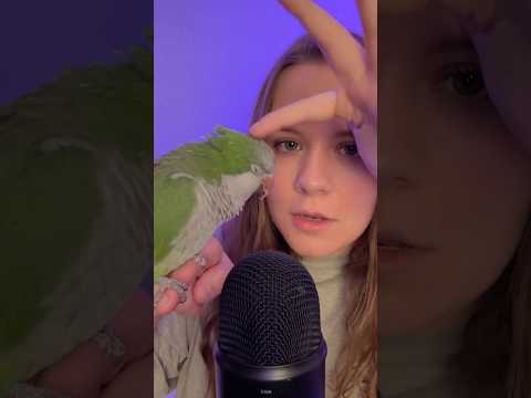 Look At This Bird 🥹 #asmr