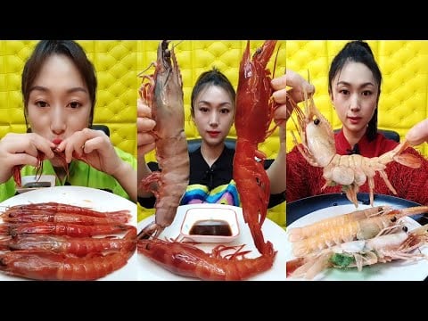 Epic ASMR Seafood Mukbang 🦞 | 전설적인 해산물 먹방 ASMR 🦀 | 伝説のシーフード大食い ASMR 🍤 | 史诗级海鲜吃播 ASMR 🦑