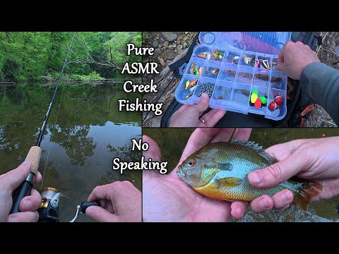 Pure ASMR Creek Fishing - No Speaking