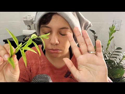 ASMR Benzedeira 🍃