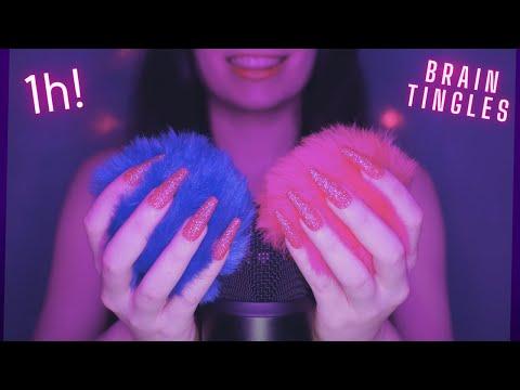 Asmr Deep Mic Scratching , Brushing & Stroking | Asmr No Talking for Sleep with Long Nails - 1H