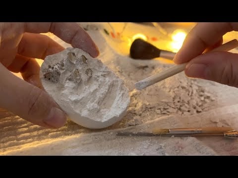 ASMR I Fossil Dig Kit sounds🥚⛏🦖No Talking