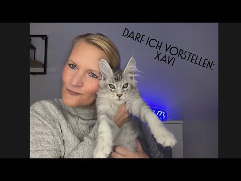 ASMR German - Kitten - Real Talk - Show & Tell 🐈‍⬛ Whispering 